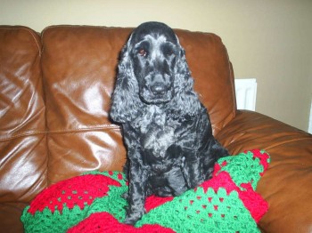 Molly