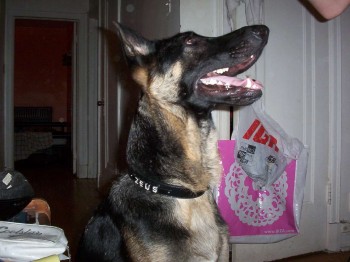 ZEUS