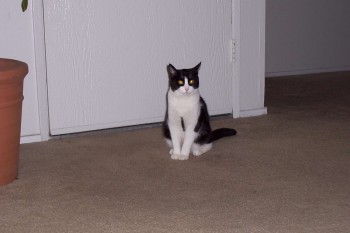 charles