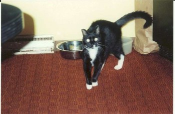 rosco