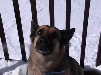 Dakota