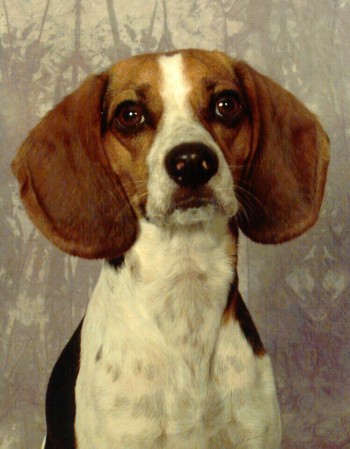 Molly Bean