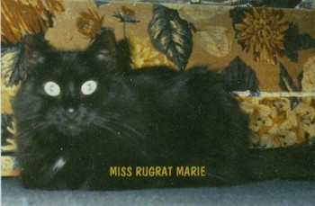 Rugrat