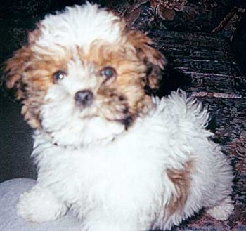 Finnigan