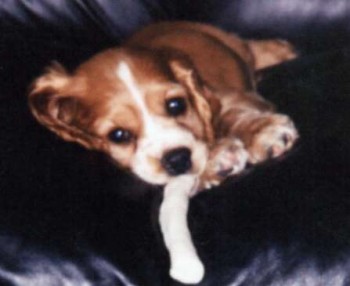 Copper