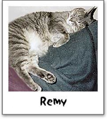 Remy