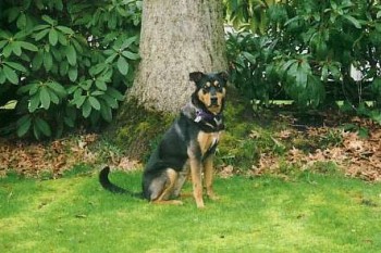 Zoe