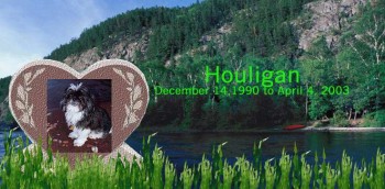 Houligan