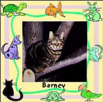 Barney