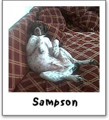 Sampson