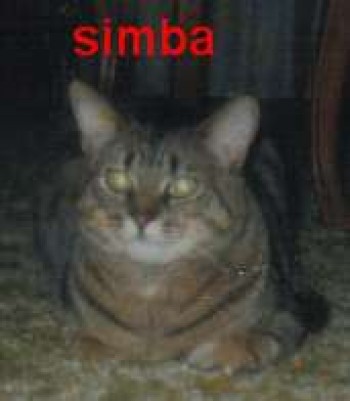 Simba