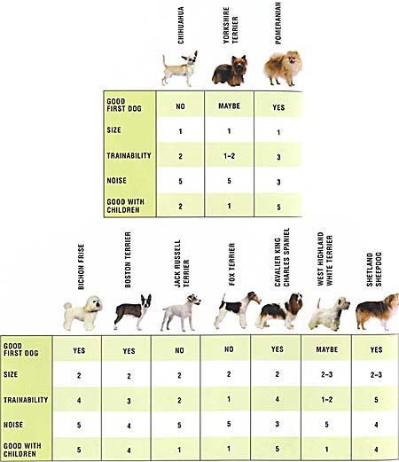 breeds of dogs. Cat Breeds middot; Dog Breeds that