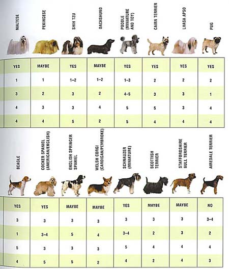 breeds-b