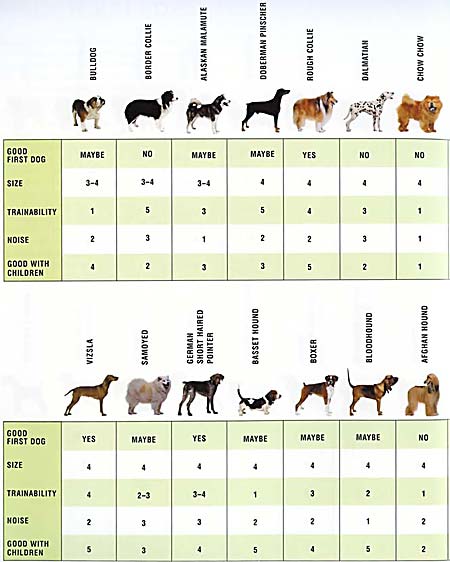 Dog Breed Characteristics Chart