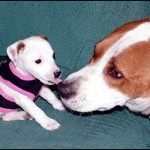 newsletter-03_08-image4