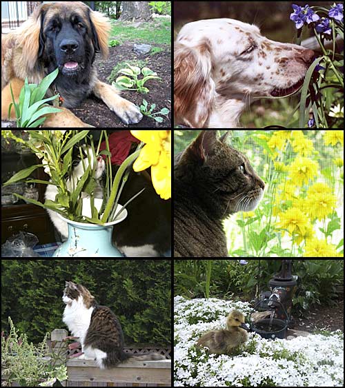 newsletter-06_09-image2