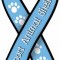 Support Animal Shelters Ribbon Magnet