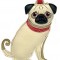 Pug Pet Luggage Tag