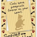 Spoiled Rotten Dog Picture Frame Magnet