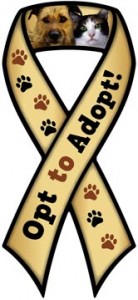 Opt to Adopt Ribbon Magnet