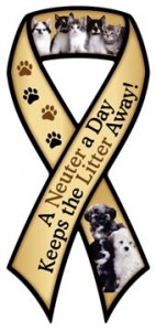 A Neuter A Day Ribbon Magnet