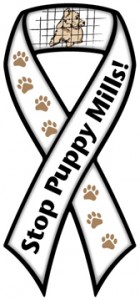 Stop Puppy Mills Ribbon Magnet