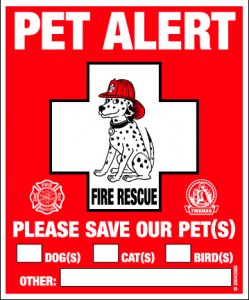 Rescue Decals