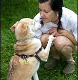 Dog Tricks – Dog Training Level 1
