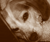 Daisy_Mae's Avatar
