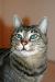 tbcookie's Avatar