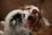 Aussie_Girl's Avatar