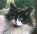 crazyworldpets's Avatar
