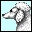 denise1955's Avatar