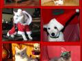 December photo challenge December photo challenge