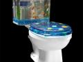 Turn your toilet into an aquarium Turn your toilet into an aquarium